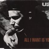 Hoes van All I Want Is You door U2