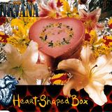 Hoes van Heart‐Shaped Box door Nirvana