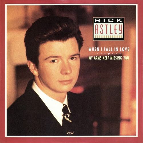 Hoes van When I Fall in Love / My Arms Keep Missing You door Rick Astley
