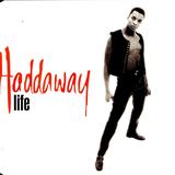 Hoes van Life door Haddaway