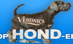 Radio Veronica Top Hond-erd